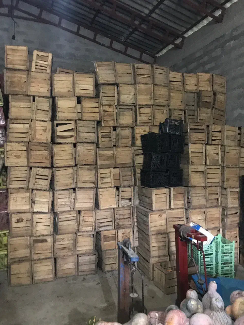 جعبه میوه چوبی درجه یک به قیمت عمده|عمدهفروشی|چالوس, |دیوار