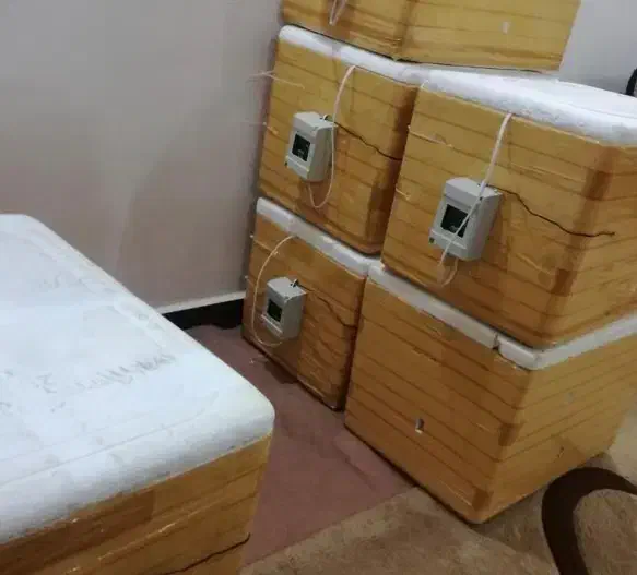 دستگاه جوجه کشی|لوازم جانبی حیوانات|بندر امام خمینی, |دیوار