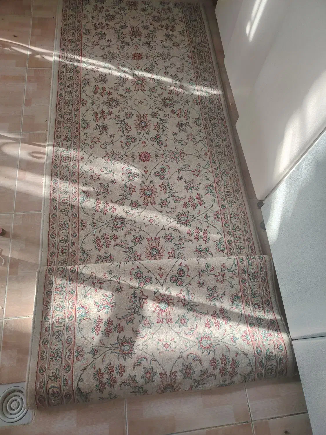 قالی|گلیم، جاجیم، گبه|قم, انصارالحسین|دیوار