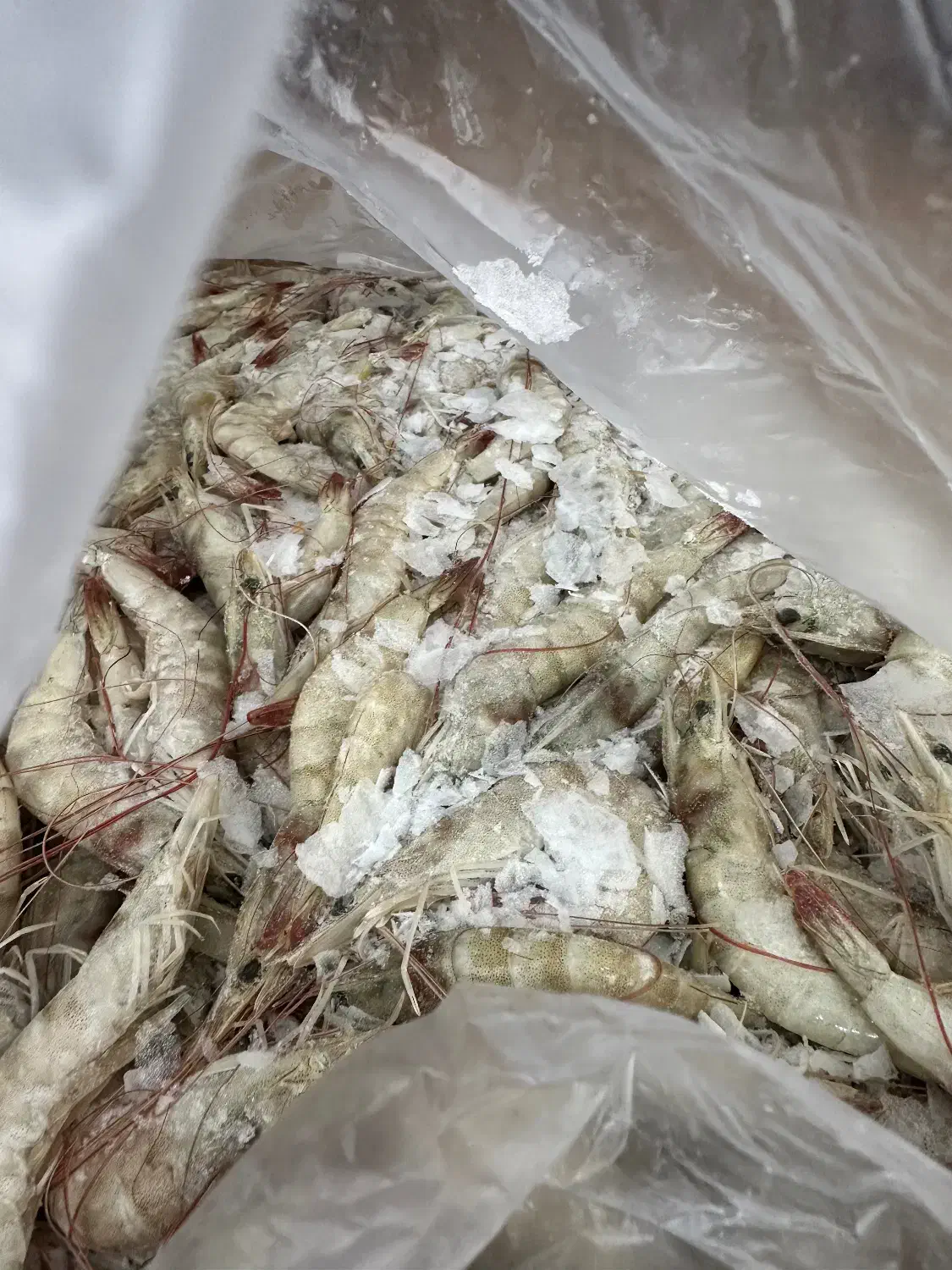 میگو درجه یک|خوردنی و آشامیدنی|شاهین‌شهر, فردوسی|دیوار