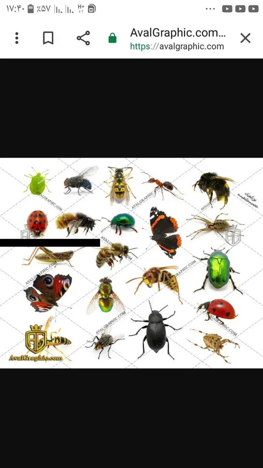 سمپاشی تضمینی خانه مغازه|خدمات نظافت|ساوه, |دیوار