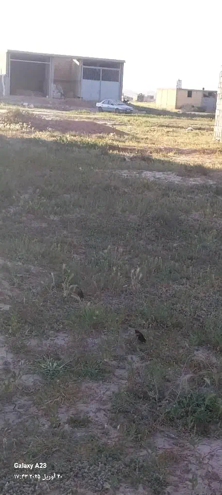 زمین سلطان آباد|فروش زمین و ملک کلنگی|شیراز, سلطان آباد|دیوار