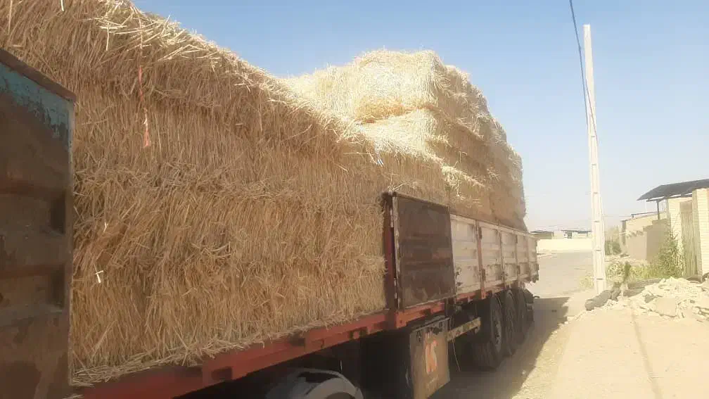 پرس کاه گندم بزرگ|حیوانات مزرعه|ورزنه, |دیوار