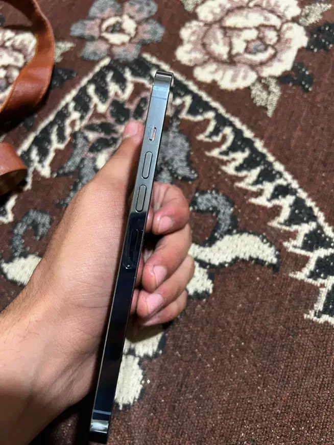 موبایل ایفون ۱۳ پرومکس ۵۱۲گیگ|موبایل|شادگان, |دیوار