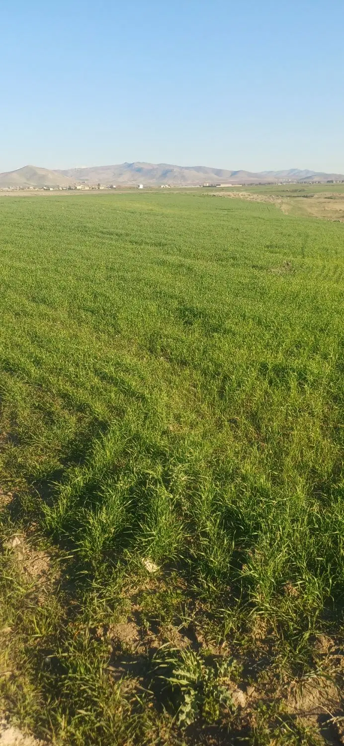 طبیعت گردی|کوهنوردی و کمپینگ|تهران, ازگل|دیوار