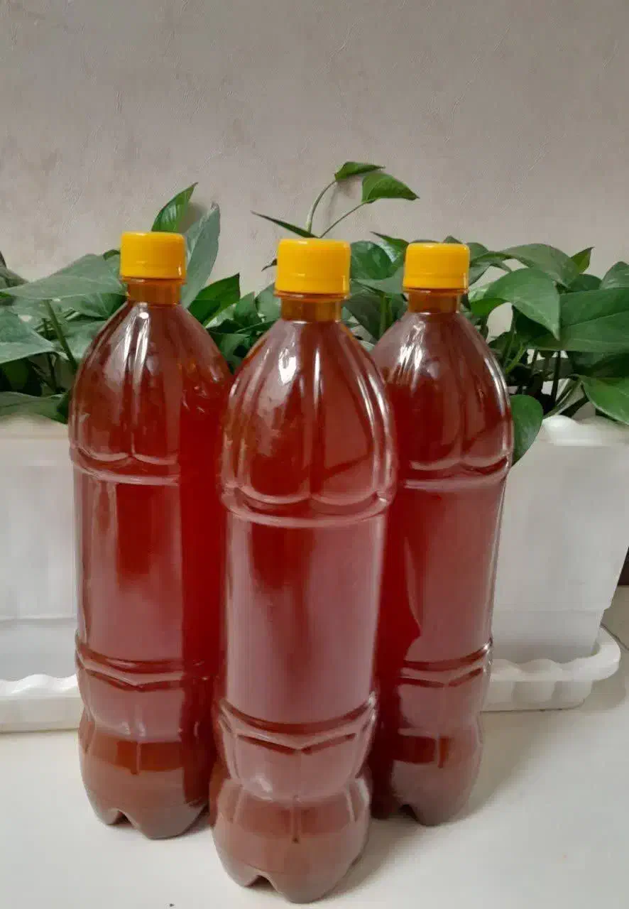 رب خانگی وآبغوره|خوردنی و آشامیدنی|شاهین‌شهر, گزبرخوار|دیوار