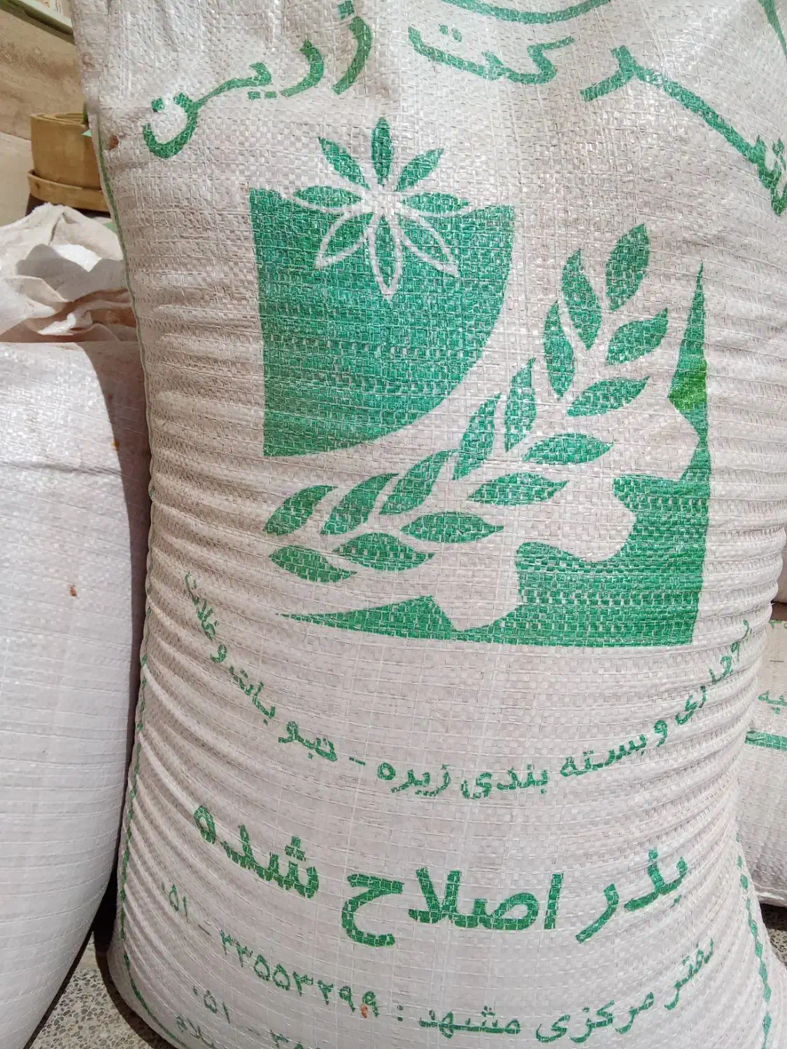 بذر گواهی شده پیشگام 500 کیلو|خدمات باغبانی و درختکاری|تایباد, |دیوار