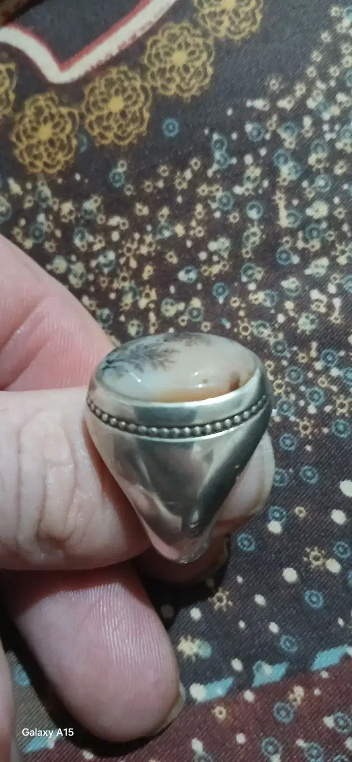 شجر|کلکسیون اشیاء عتیقه|اردبیل, |دیوار