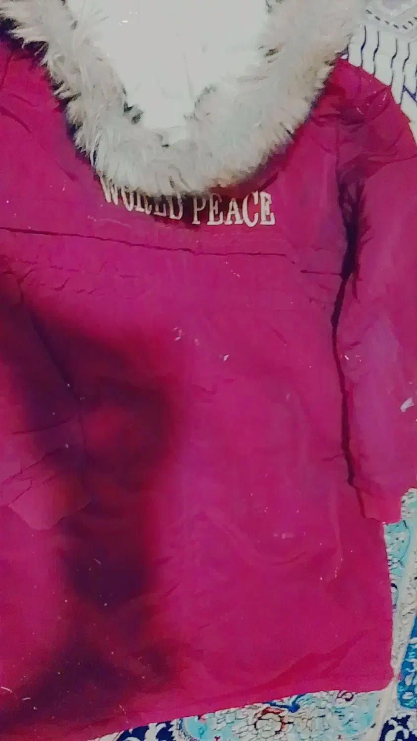 کاپشن ،پالتو،بارونی|لباس|بیرجند, |دیوار