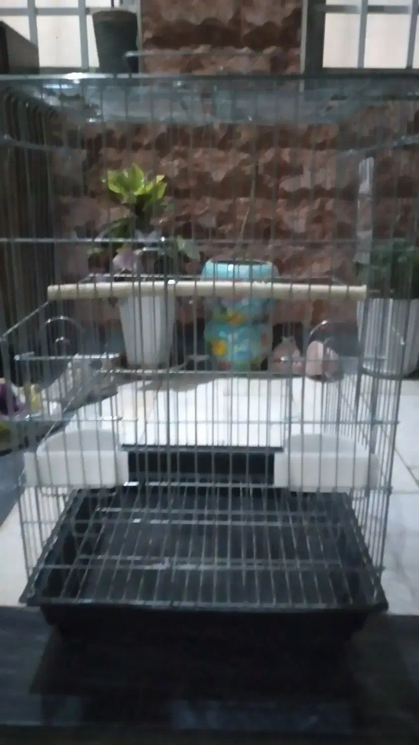 قفس بزرگ ۱۰۳۲ بزرگ سقف باز شو|لوازم جانبی حیوانات|قرچک, باقرآباد|دیوار