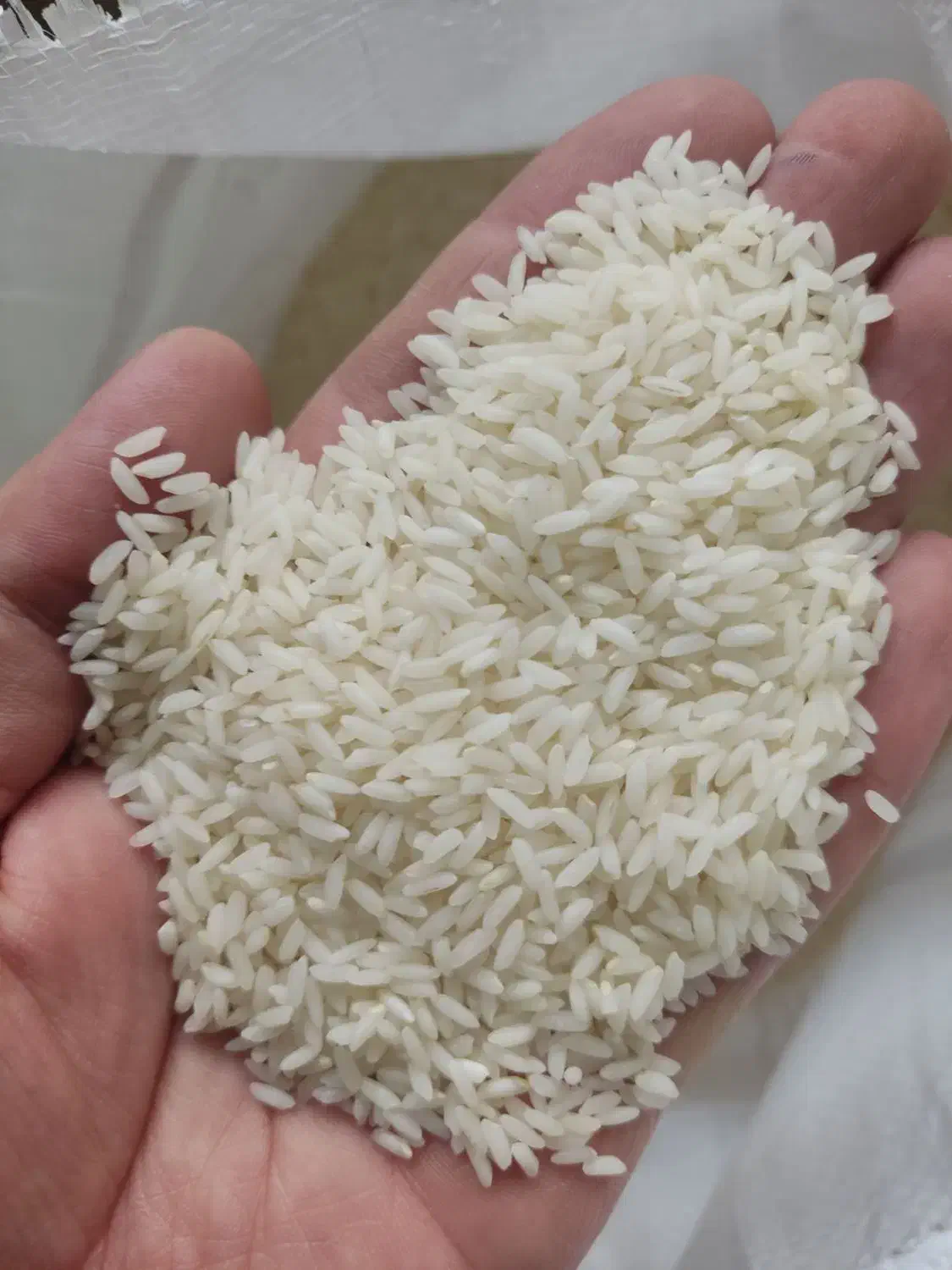 برنج عنبربو هندی|خوردنی و آشامیدنی|تهران, مولوی|دیوار