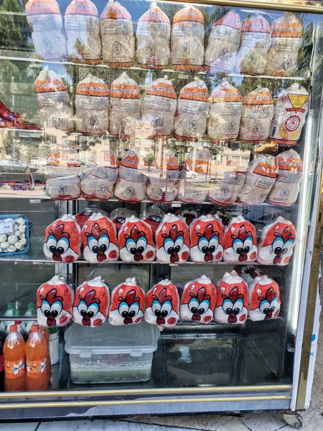 یک یخچال و یک عدد وان ماهی.. فروشی.|فروشگاه و مغازه|محمدیه-قزوین, |دیوار