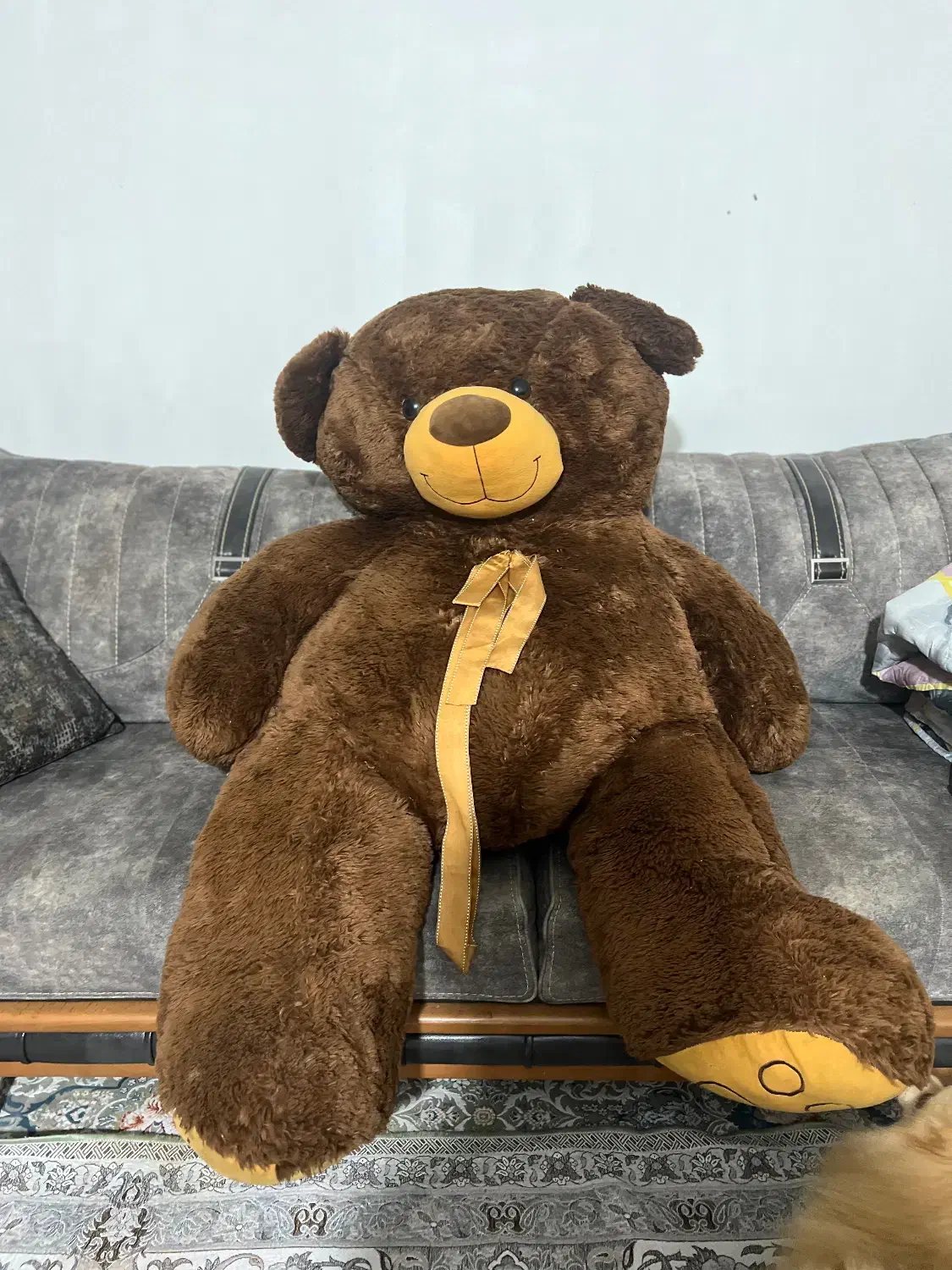 عروسک خرس  قهوه ای با کیفیت قابل شستوشو|اسباب‌‌بازی|آمل, |دیوار