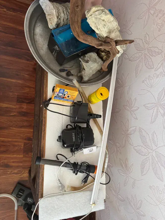 آکواریوم شیشه خم بزرگ با همه لوازم و وسایل|ماهی|شهریار, شهریار|دیوار