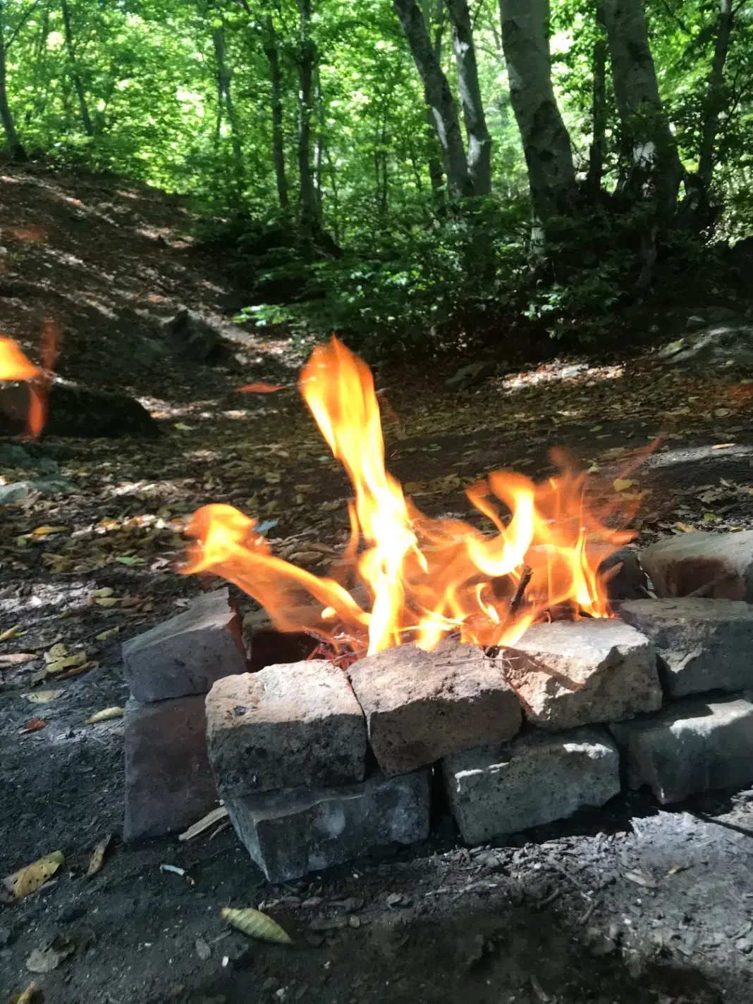 طبیعتگردی|فعالیت داوطلبانه|اندیشه, اندیشه فاز ۴|دیوار