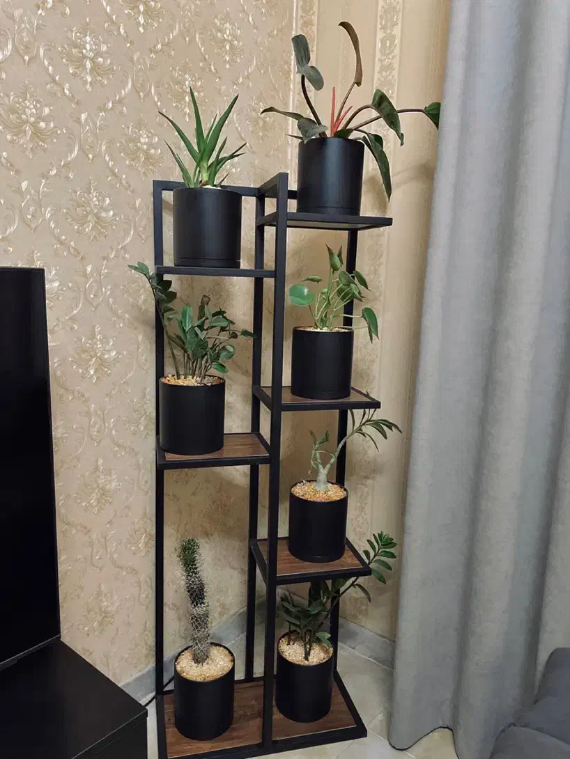 گل واستند گل|گل و گیاه طبیعی|تهران, امامت|دیوار