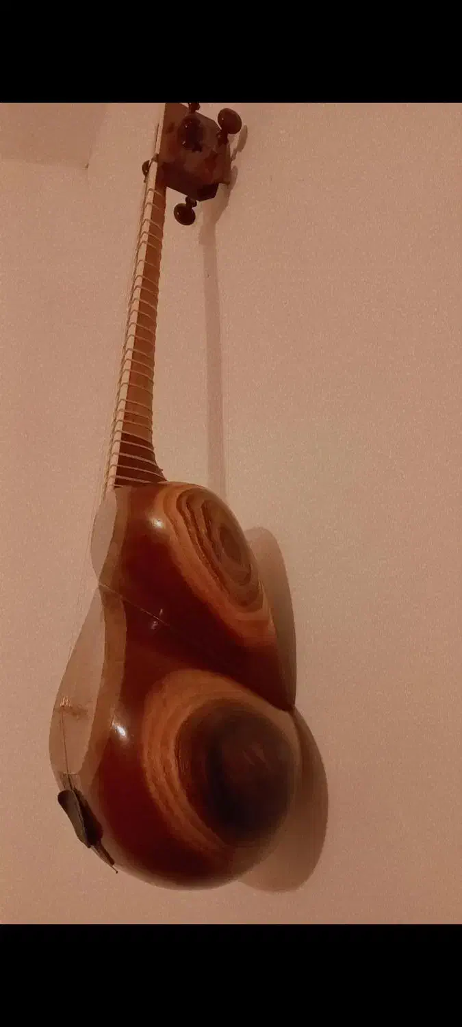 تار مهران کلهر|سازهای سنتی|جهرم, |دیوار