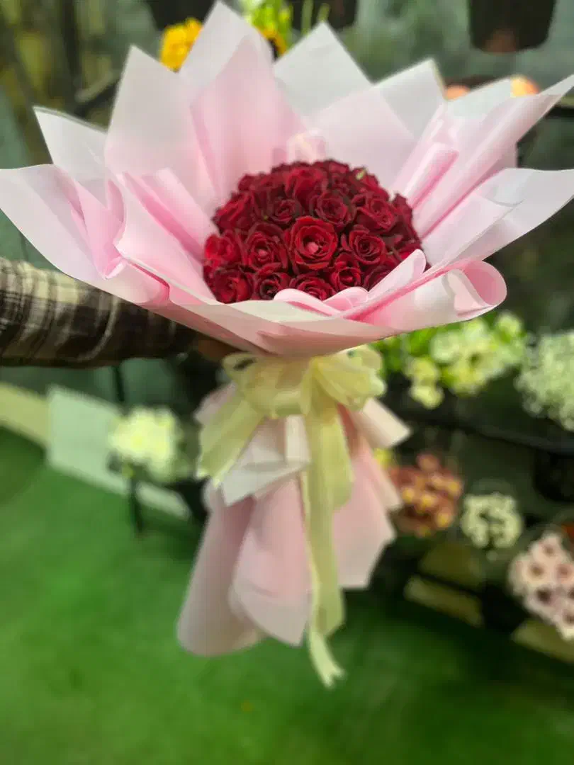 پخش عمده داوودی و رز هلندی و آلستر|گل و گیاه طبیعی|مشهد, نیروی هوایی|دیوار