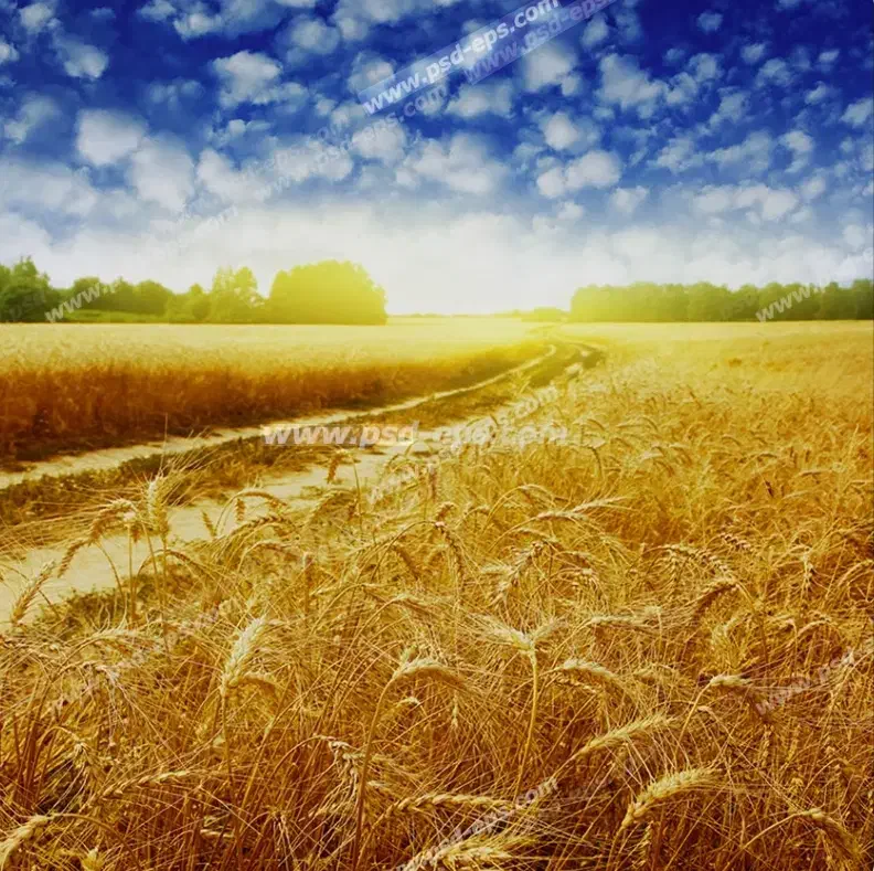 زمین اجاره ای|اجارهٔ دفتر صنعتی، کشاورزی، تجاری|دهدشت, |دیوار