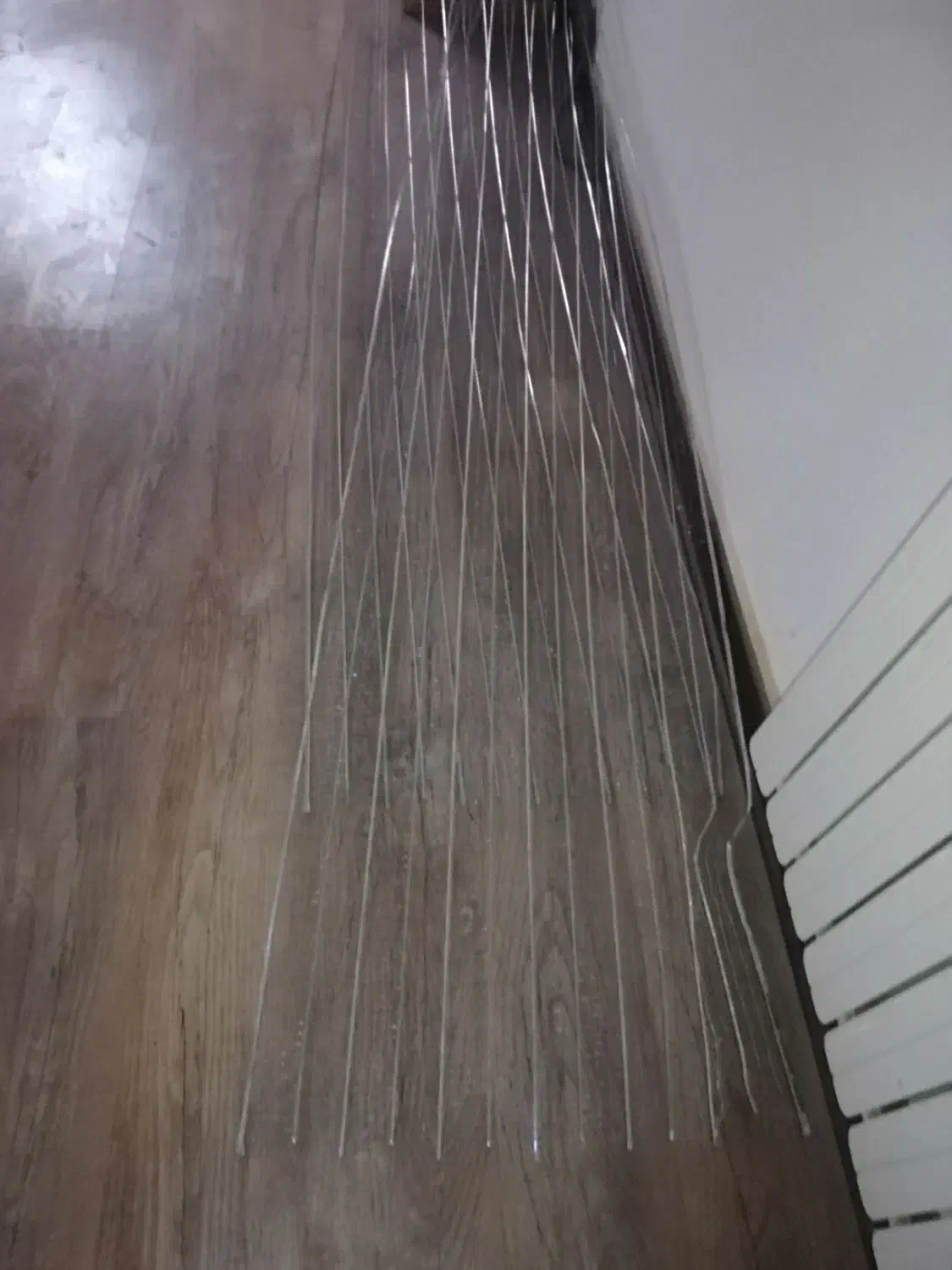 محکم|کلکسیون و سرگرمی|رشت, دیلمان|دیوار