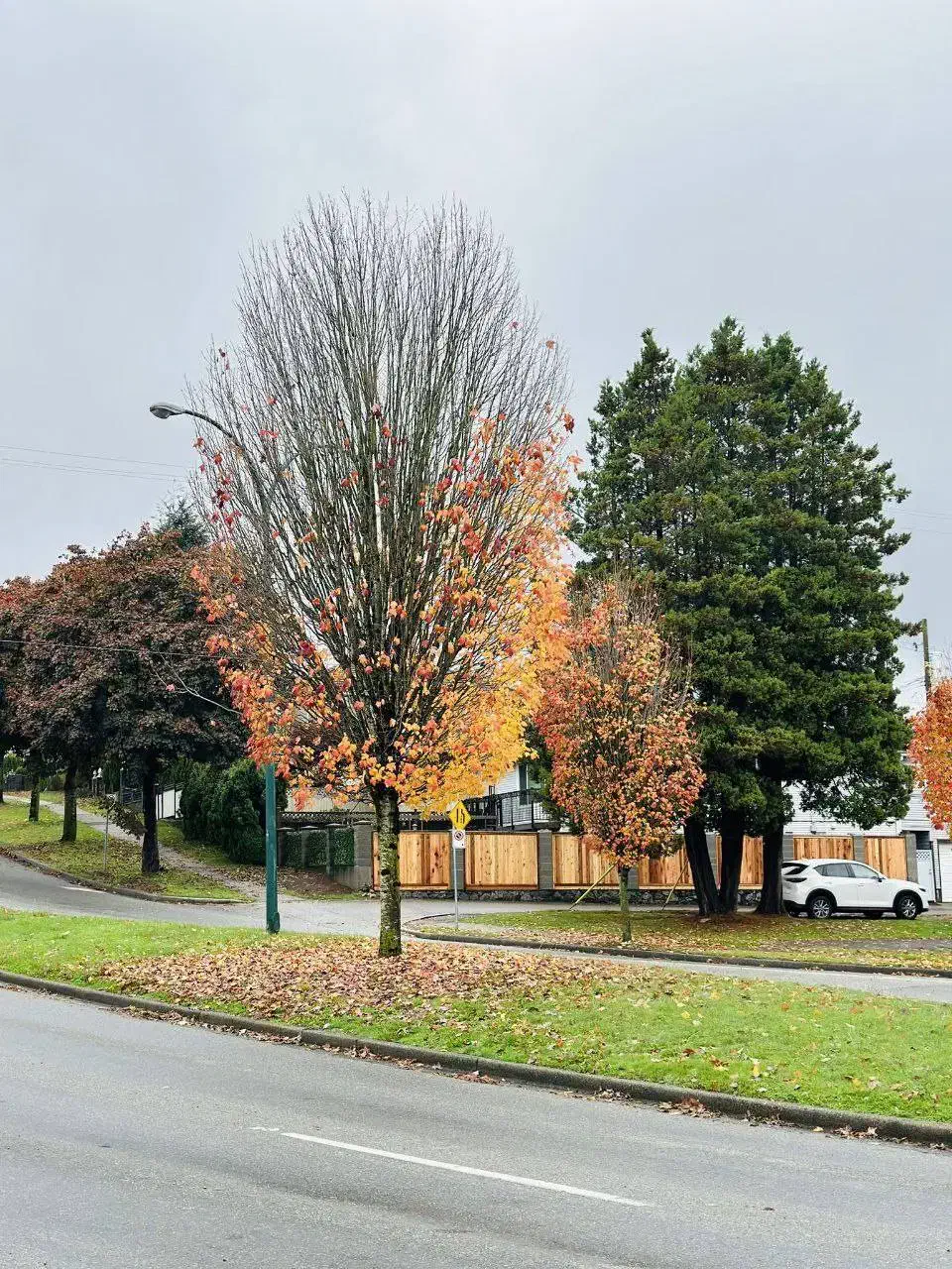 زمین اجاره‌|اجارهٔ دفتر صنعتی، کشاورزی، تجاری|کلاترزان, |دیوار