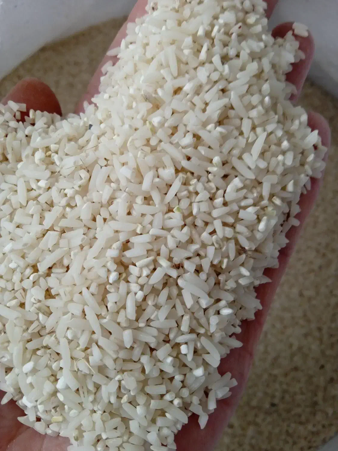 برنج ایرانی درجه1|خوردنی و آشامیدنی|اهر, |دیوار