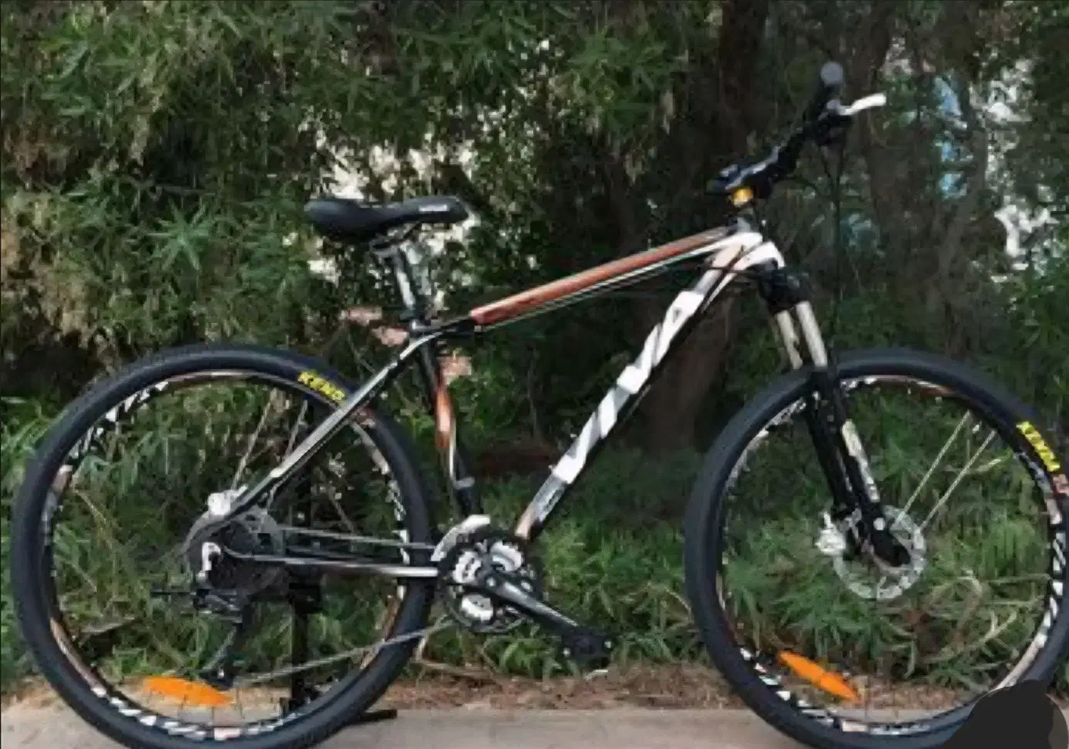 دوچرخه حرفه ای ویوا|دوچرخه، اسکیت، اسکوتر|قم, شهرک امام حسن|دیوار