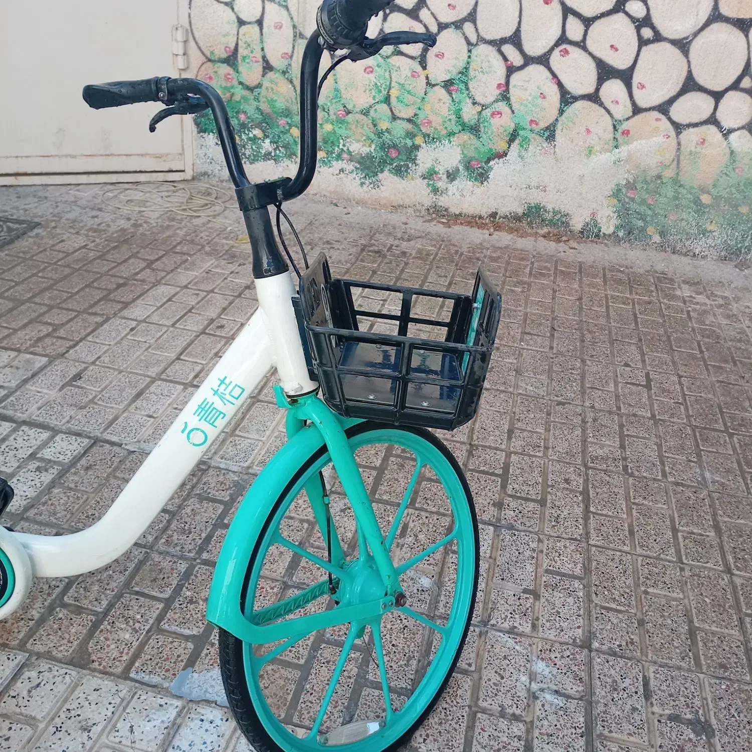 دوچرخه|دوچرخه، اسکیت، اسکوتر|مشهد, عبادی|دیوار