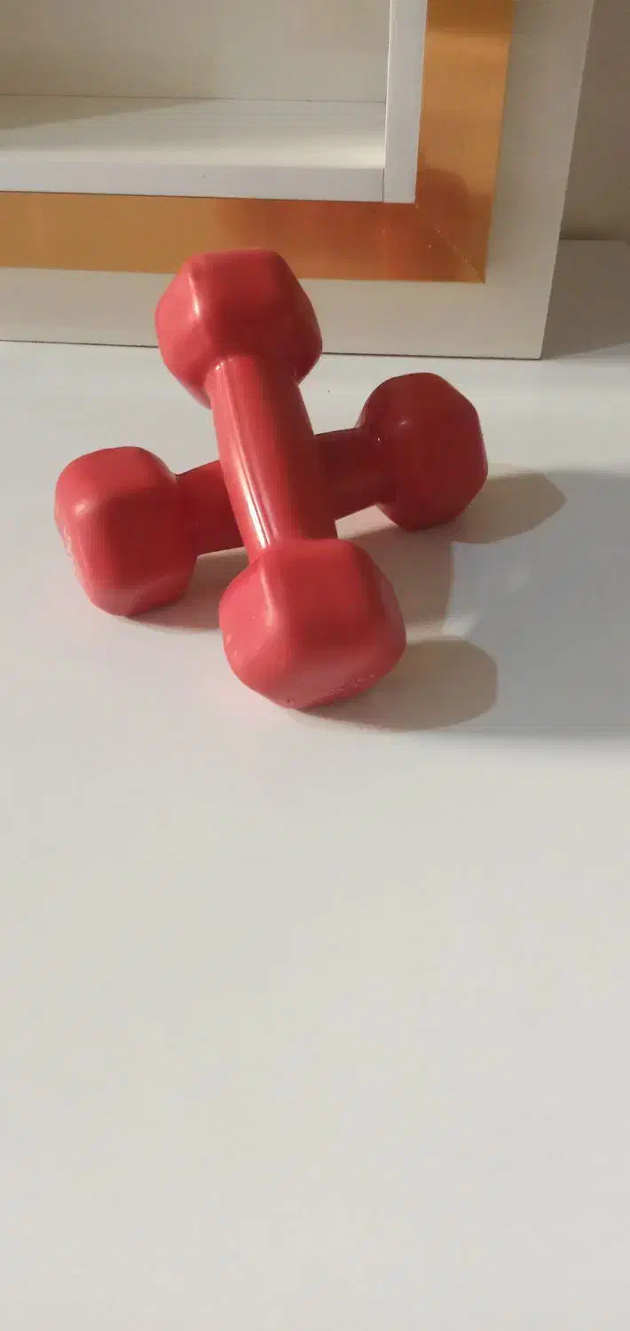 دمبل 2کیلویی|تجهیزات ورزشی|نصر آباد, |دیوار