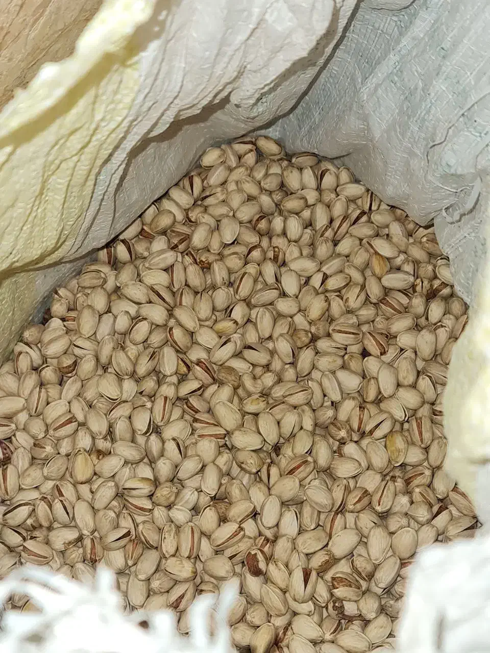 پسته کله قوچی امسال|خوردنی و آشامیدنی|تهران, مسعودیه|دیوار