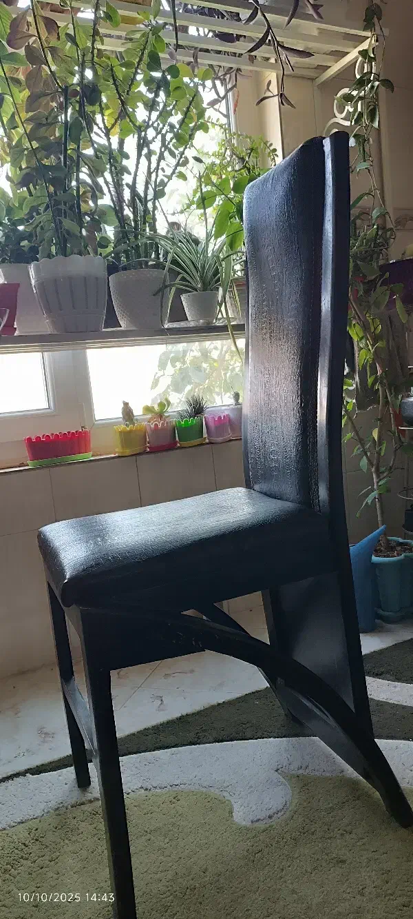 صندلی بدون میز|میز و صندلی غذاخوری|آبیک, |دیوار