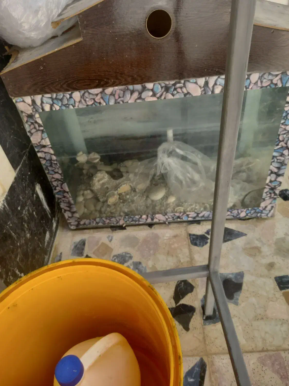 آکواریوم|ماهی|شاهین‌شهر, گرگاب|دیوار