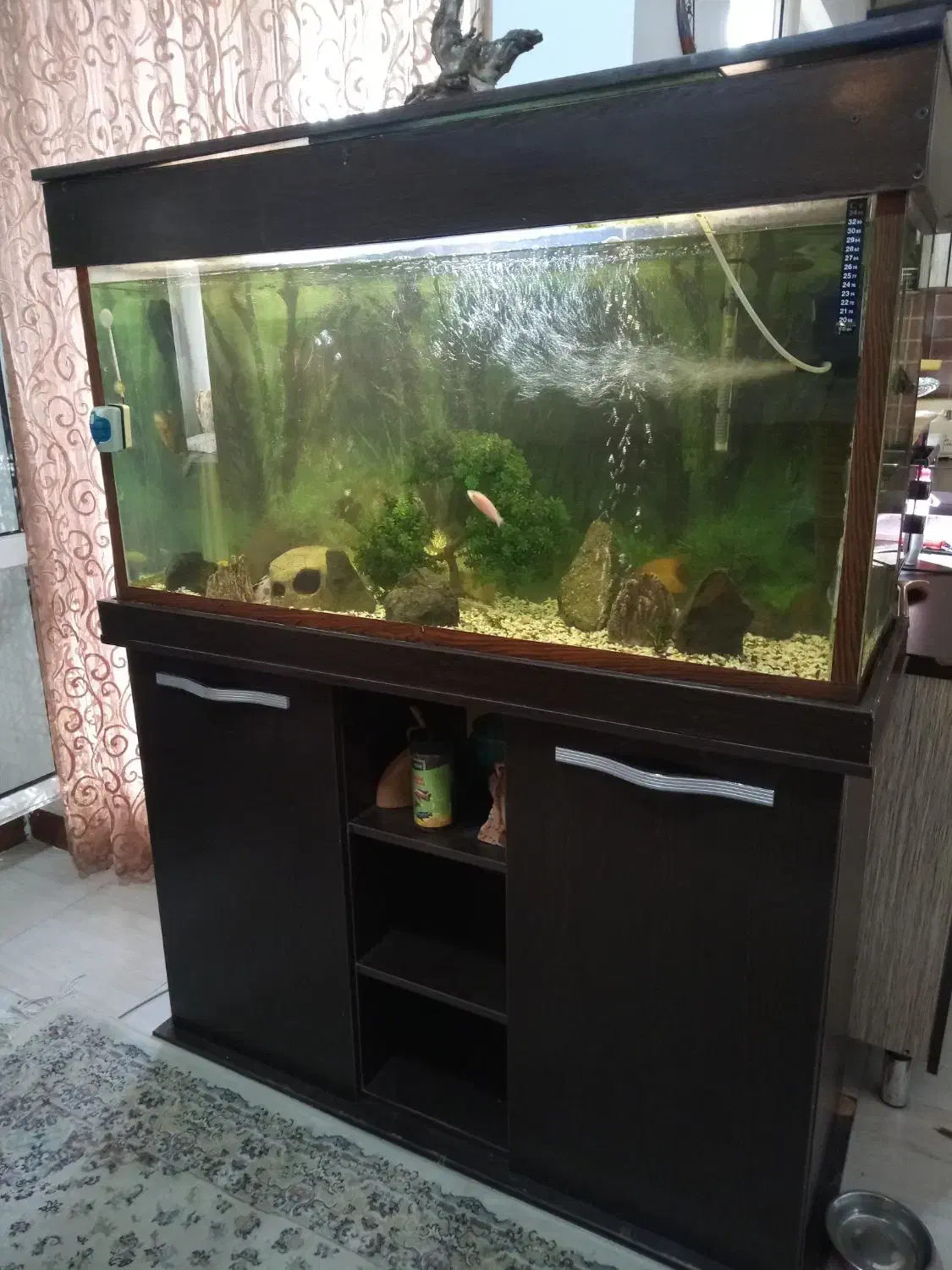 اکواریوم120|ماهی|رشت, کوی مهر|دیوار