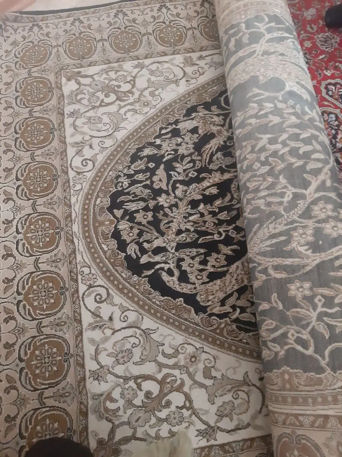 فرش ۶متری|فرش|فردیس, داوری|دیوار