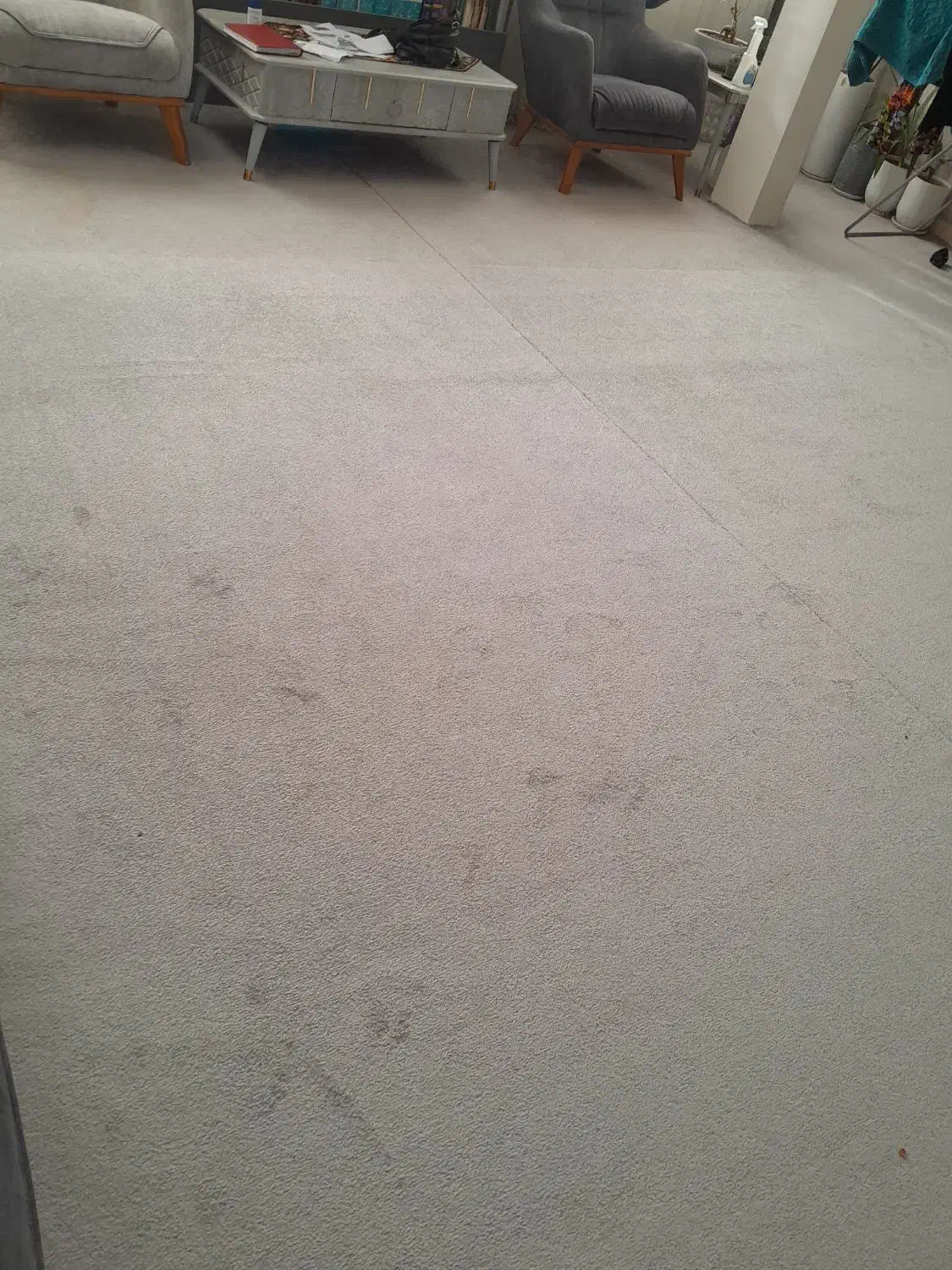 موکت طوسی رنگ|موکت|همدان, |دیوار