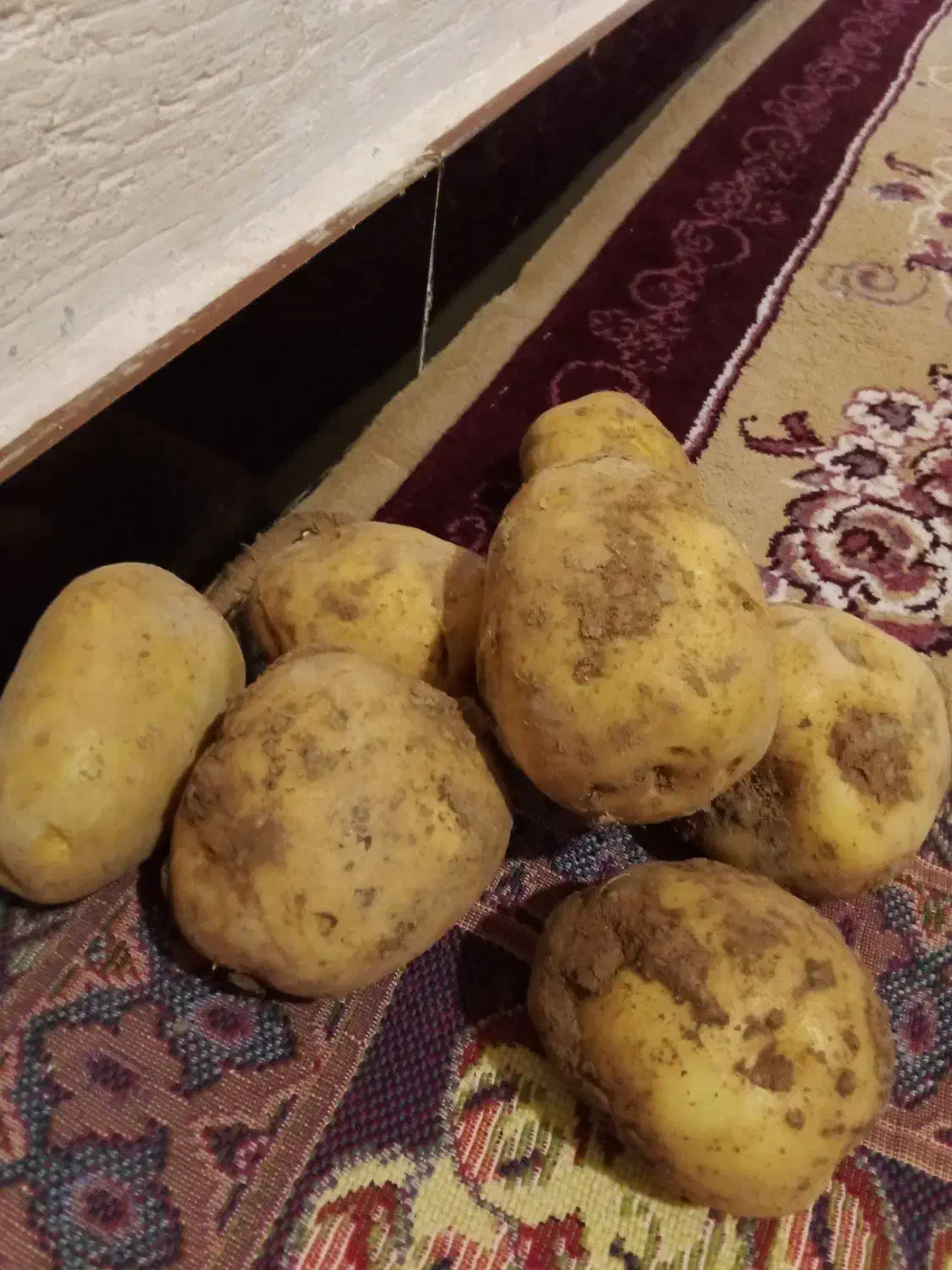 سلام کارگر برای سورت سیب زمینی دارم|استخدام صنعتی، فنی، مهندسی|چهاردولی, |دیوار