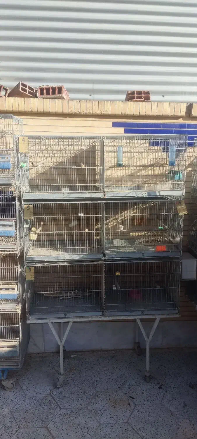 قفس 16 خان اردشیر و 6 خان پژاوند|لوازم جانبی حیوانات|زرند, |دیوار