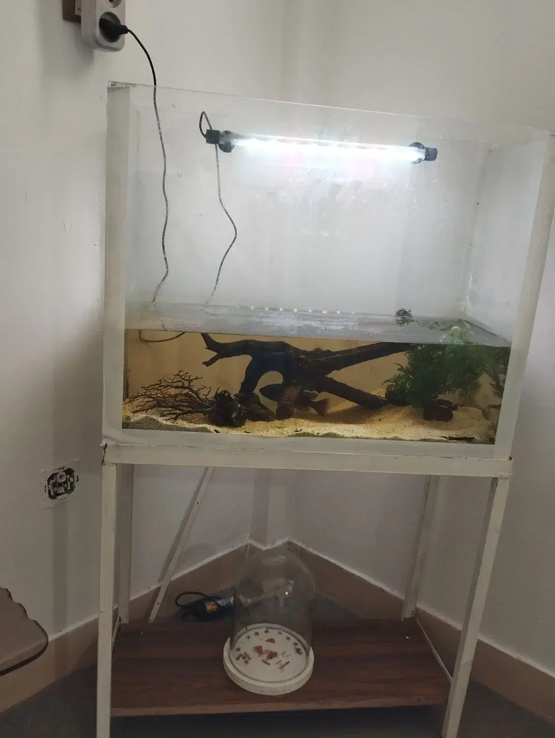 آکواریوم با پایه و تجهیزات|لوازم جانبی حیوانات|یزد, |دیوار