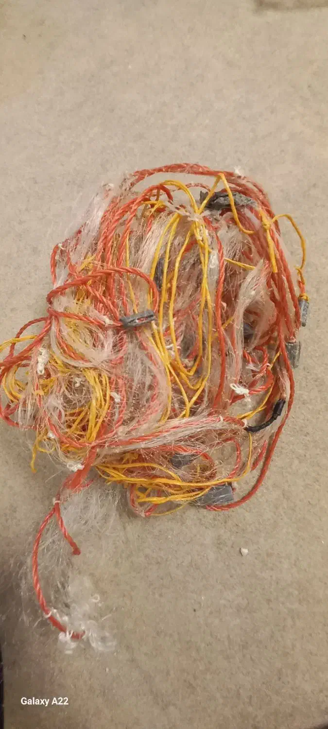 تورماهیگیری|ماهیگیری|زاهدان, |دیوار