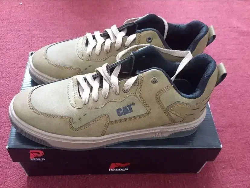 کتونی کت|کیف، کفش، کمربند|قم, بنیاد|دیوار