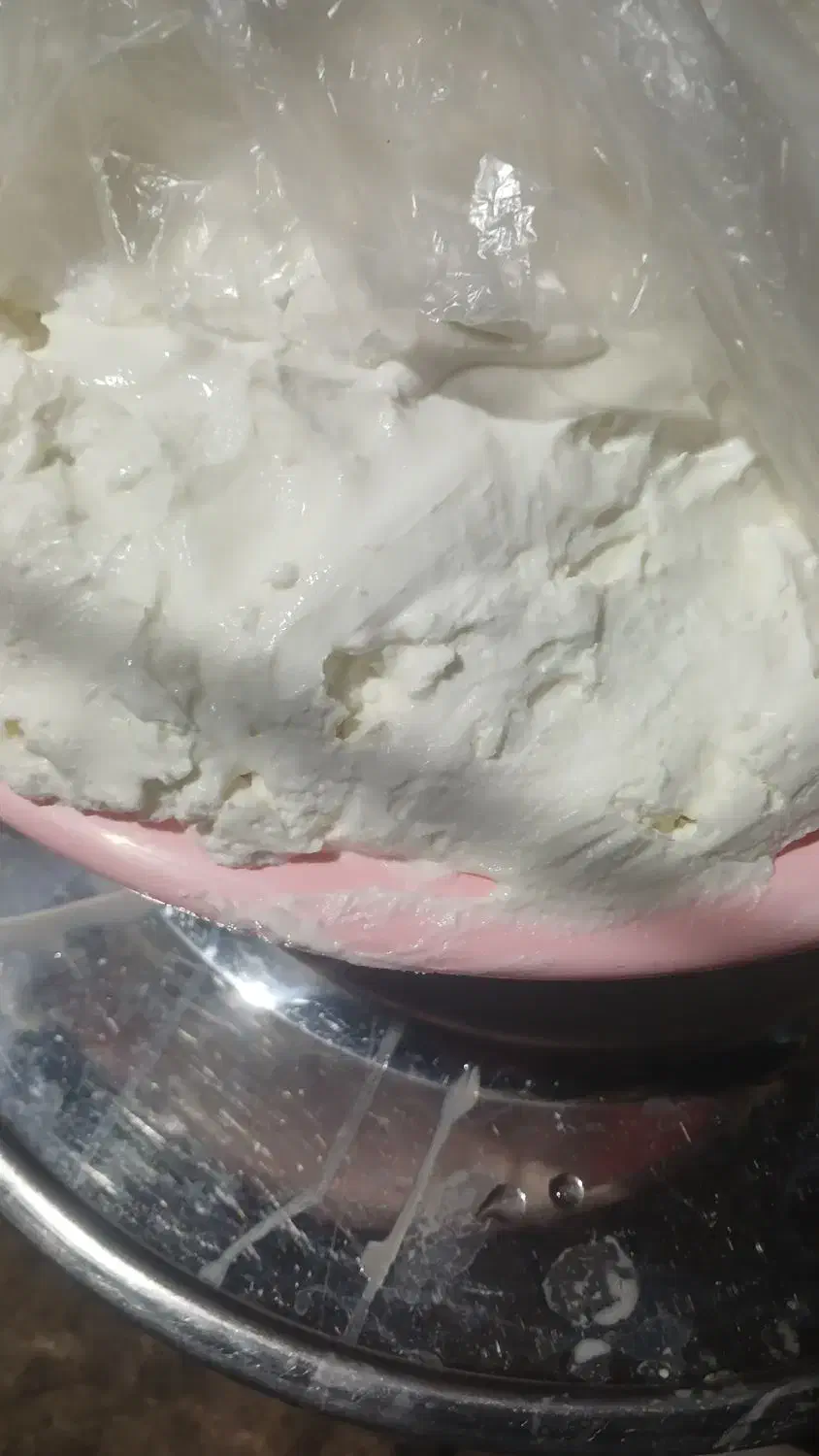 ماست چکیده|خوردنی و آشامیدنی|نالوس, |دیوار