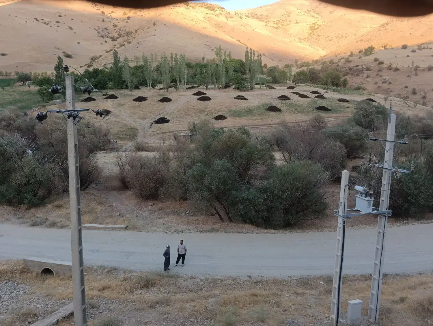 کود حیوانی پوسیده|خدمات باغبانی و درختکاری|بانه, |دیوار