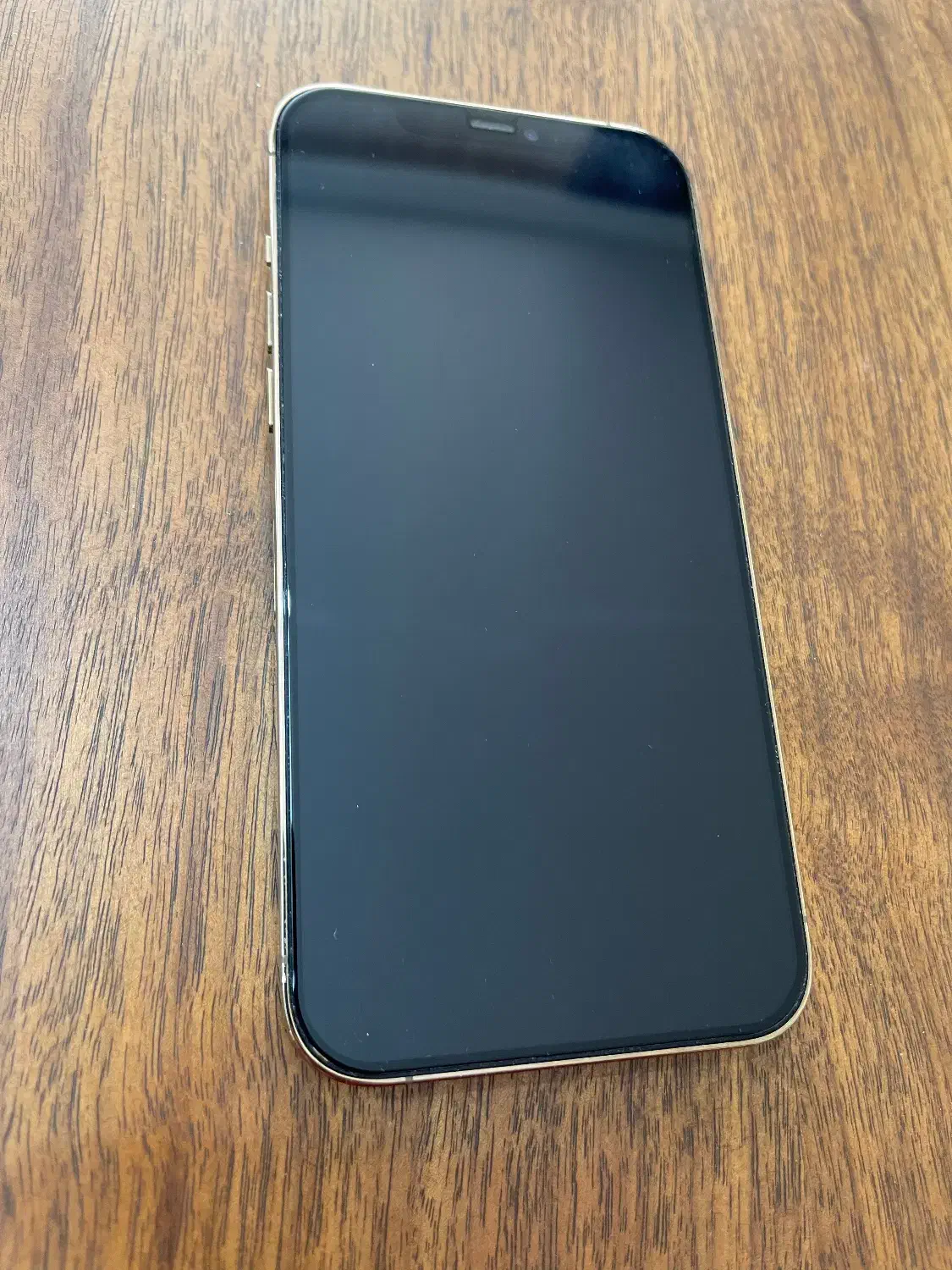 iPhone 12 Pro Max 256 ZA/A|موبایل|شیراز, سینما سعدی|دیوار