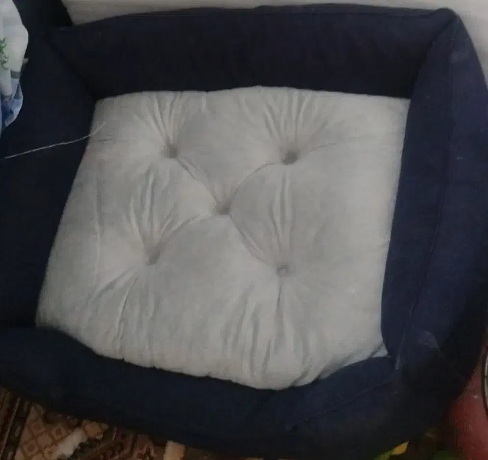 فروش تشک سگ نو|لوازم جانبی حیوانات|شاهینشهر, پاسداران|دیوار