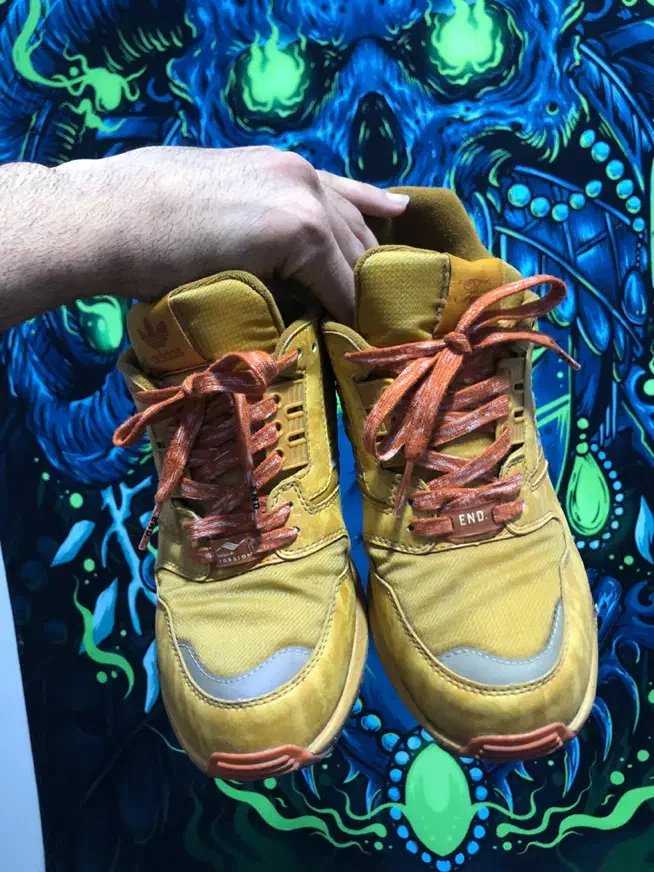 زدیکس ۸۰۰۰ اند|کیف، کفش، کمربند|ساری, |دیوار