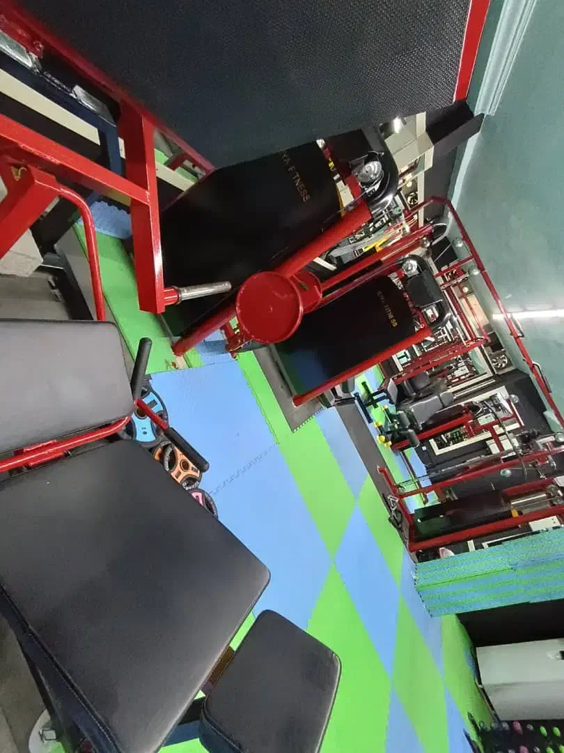 تاتامی|تجهیزات ورزشی|قائم‌شهر, |دیوار