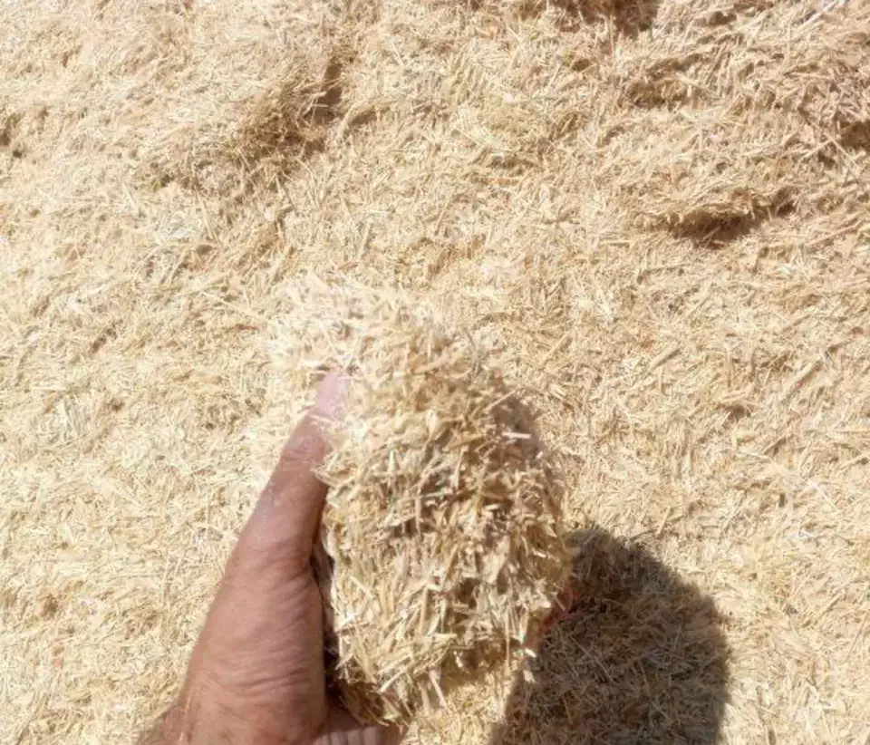 کاه گندم|عمدهفروشی|فیروزآباد (فارس), |دیوار