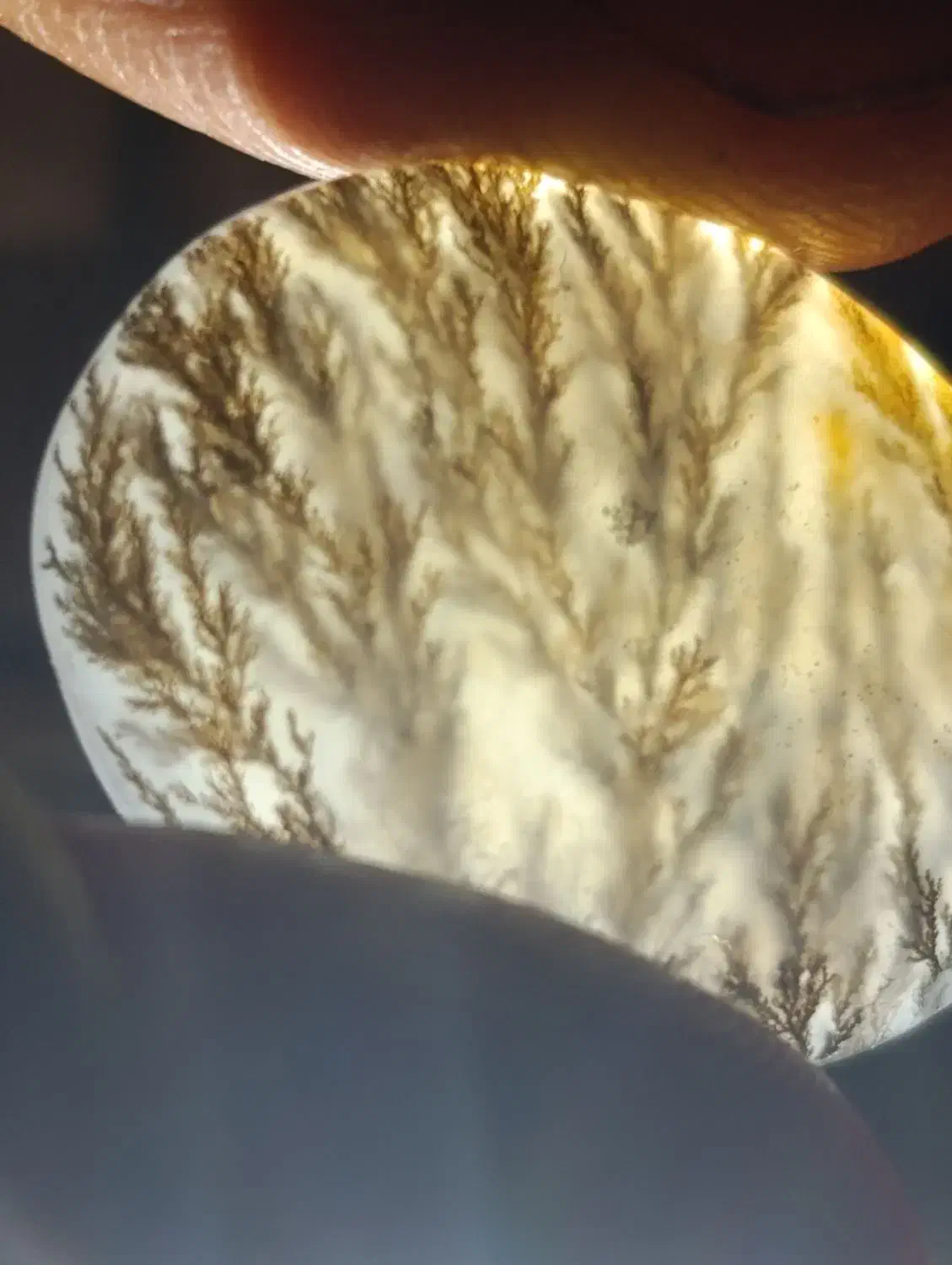 نگین و سنگ طبیعی تخفیف ویژه|زیورآلات و اکسسوری|مرودشت, ژیان|دیوار