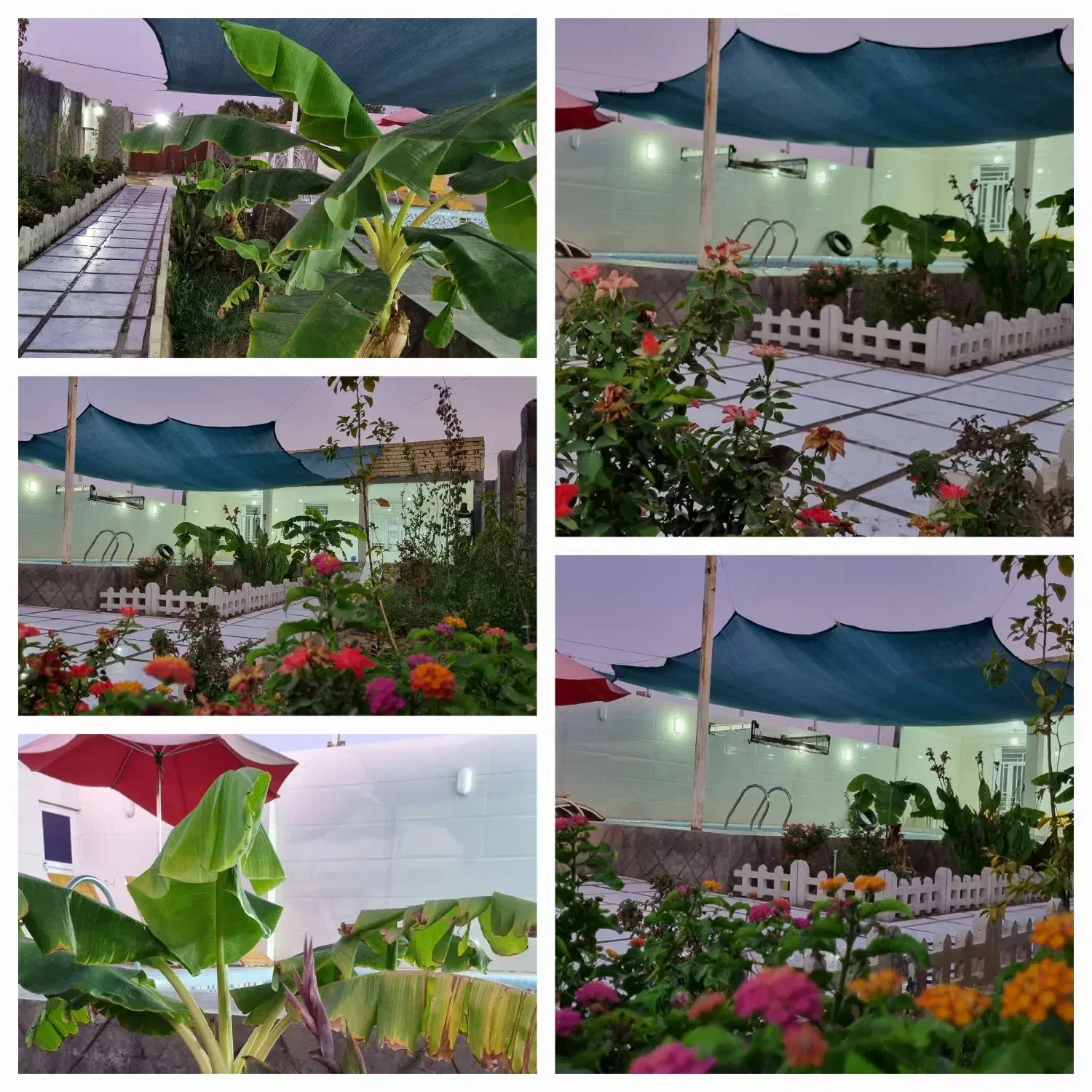 باغ ویلا آریان ، استخر|اجارهٔ کوتاه‌مدت ویلا و باغ|شوشتر, |دیوار