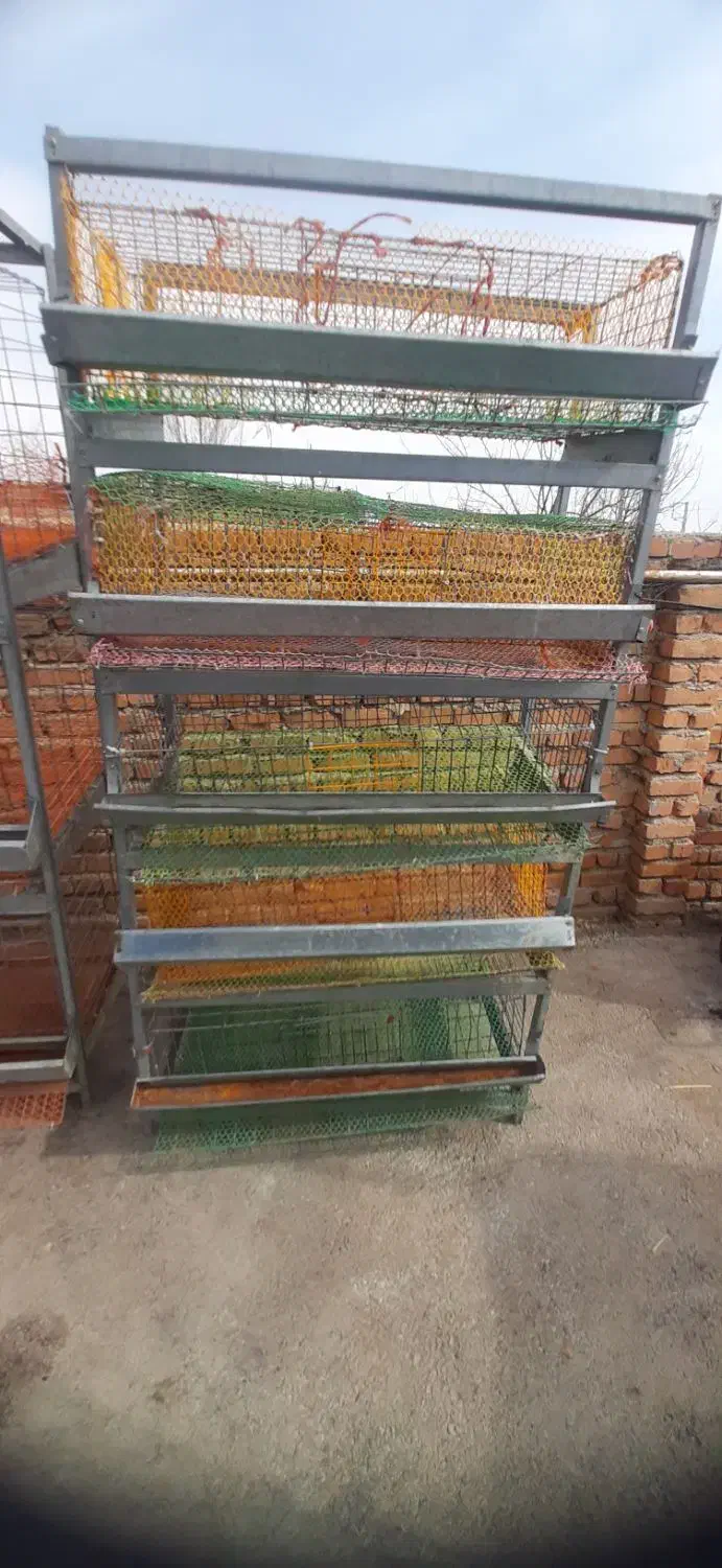 قفس ۵ طبقه بلدرچین|لوازم جانبی حیوانات|ارومیه, |دیوار